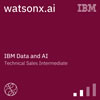 watsonx.ai Technical Sales Intermediate